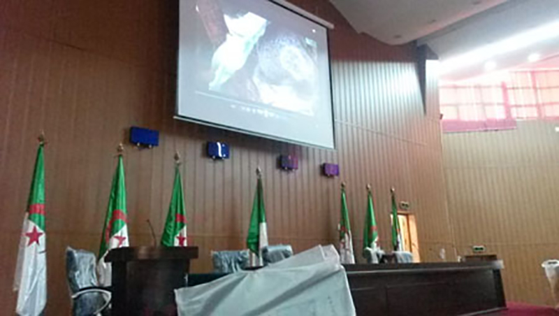 University Of M'Sila, The Art Of Communication And Education University Of M'Sila, The Art Of Communication And Education